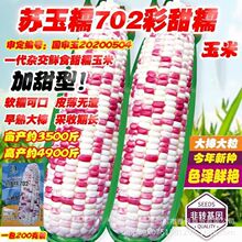 ����Ŵ���׷N�Ӳ�ɫŴ�����ļ�����ˮ���N�Ѵ���s������Ŵ������