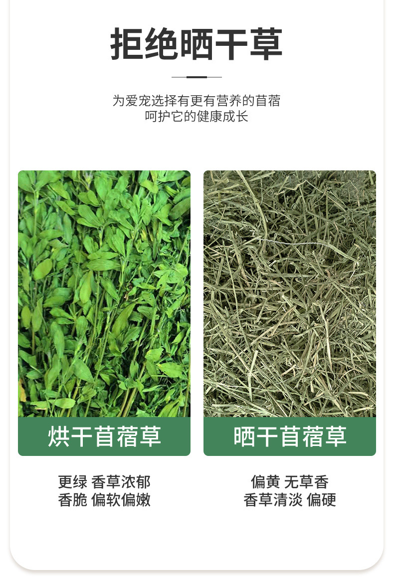 5499e7e5-8797-43fc-973d-a14440b64e4f.jpe