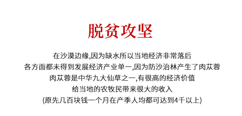 Cistanche Deserticola Rou Cong Rong Oil-Processed Slices 500g TCM Kidney Yang Tonic Herb key features