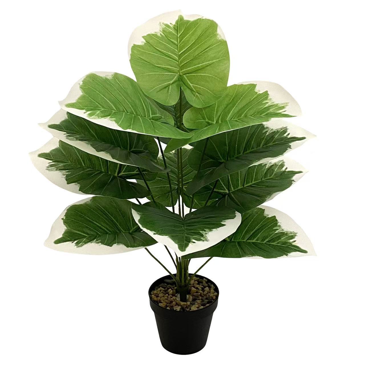 微信图片_20250804132509