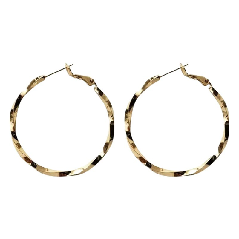 Европейская и американская индивидуальность, Преувеличенные большие круглые серьги, серебряные серьги-булавки 925 пробы, женские модные Универсальные элегантные серьги-знаменитости, серьги