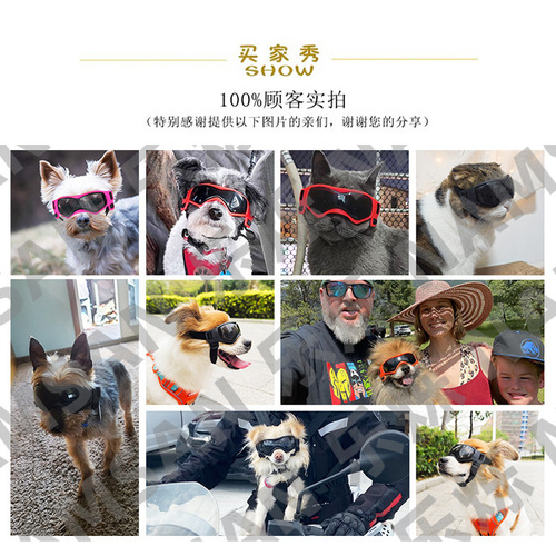 Pet Glasses New Cool Glasses Anti-UV Soft Frame Dog Goggles Cat Sunglasses Sunglasses