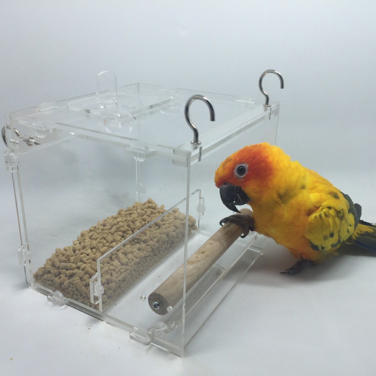 供应亚克力喂鸟器 户外透明亚克力下食器 新款悬挂亚克力鹦鹉喂食