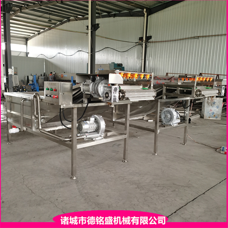 速冻包冰衣设备 单隧道式鸡爪带鱼段挂冰机 鸭掌包冰挂衣机