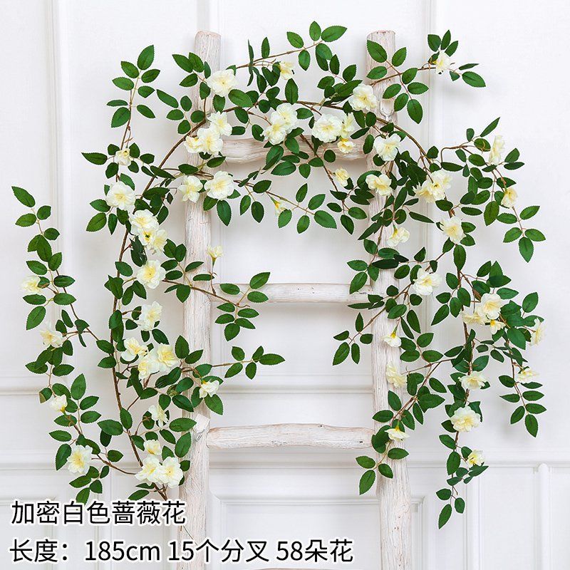 Encriptación ampliada rosa blanca-58 flores