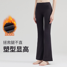 �ﶬ�ӽq�⴩�٤����ѝŮ�����@�ݽ����ߏ����\���������٤ѝ