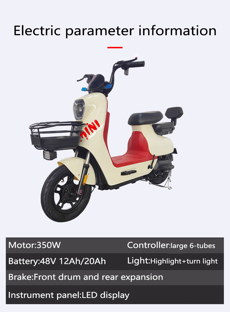Compact Electric Bicycle Custom Commuter