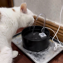 usb؈ˮCˮѭhÌˮӻˮСˮoˮѭh