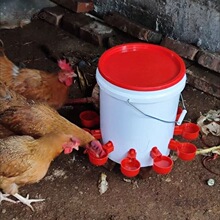 �u���Ԅ��ˮ��ˮ��С�u��ˮι�u�����B�������Z����ιˮ�B��̫��