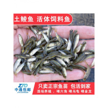 ���N�~С�~������~�����~���~ι�Z�~����ι�������|�~���Z