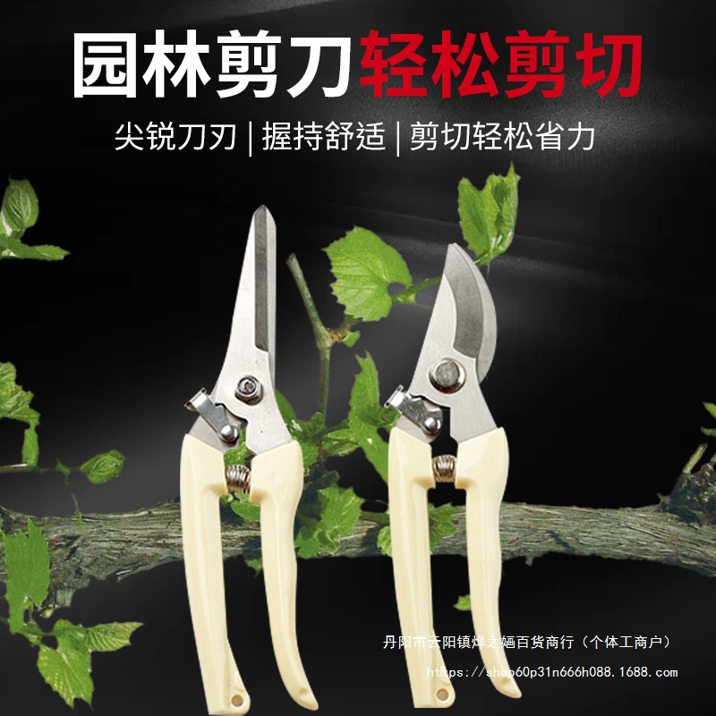 花剪园艺剪刀修剪树枝剪刀果树木修剪花卉园林剪子花艺剪工具