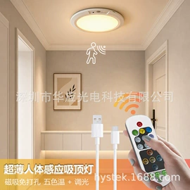 感应灯;吸顶灯;小夜灯