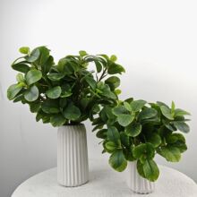 3D��ӡ����ֲ��54�~���X�Ű����Gֲ�������辰���ߔzӰ�b�c