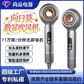 面罩美容仪;电吹风;电子美容仪