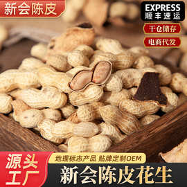 陈皮味花生散装休闲即食香脆味江门侨乡特产带壳花生零食批发
