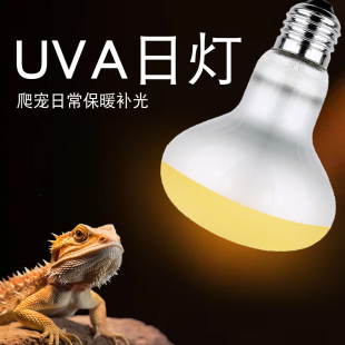 Climbing pet UVA heating lamp reptile day lamp lizard maned lion tortoise sun back lamp parrot rutin chicken warm insulation lamp
