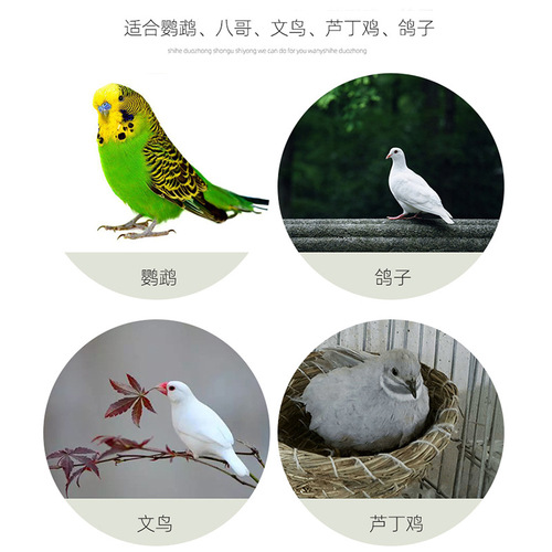 Straw budgie nest hibiscus bird colorful munia lovebird thrush lark nest pearl hatching egg breeding nest