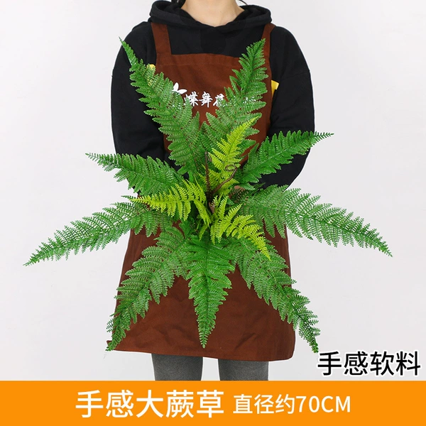 Light blue feel big fern grass