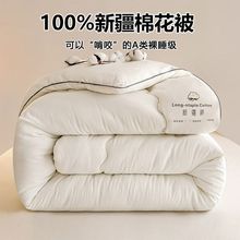 新疆棉花被子冬被纯棉花被芯冬季加厚棉被单人秋冬被双人被褥
