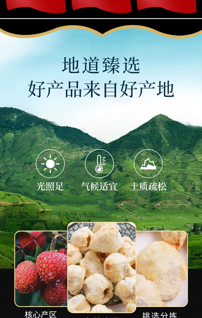 Dried Lychee (Litchi chinensis) — Freeze-Dried Food-Herb Fruit for Snacking, Baking & Tea key features