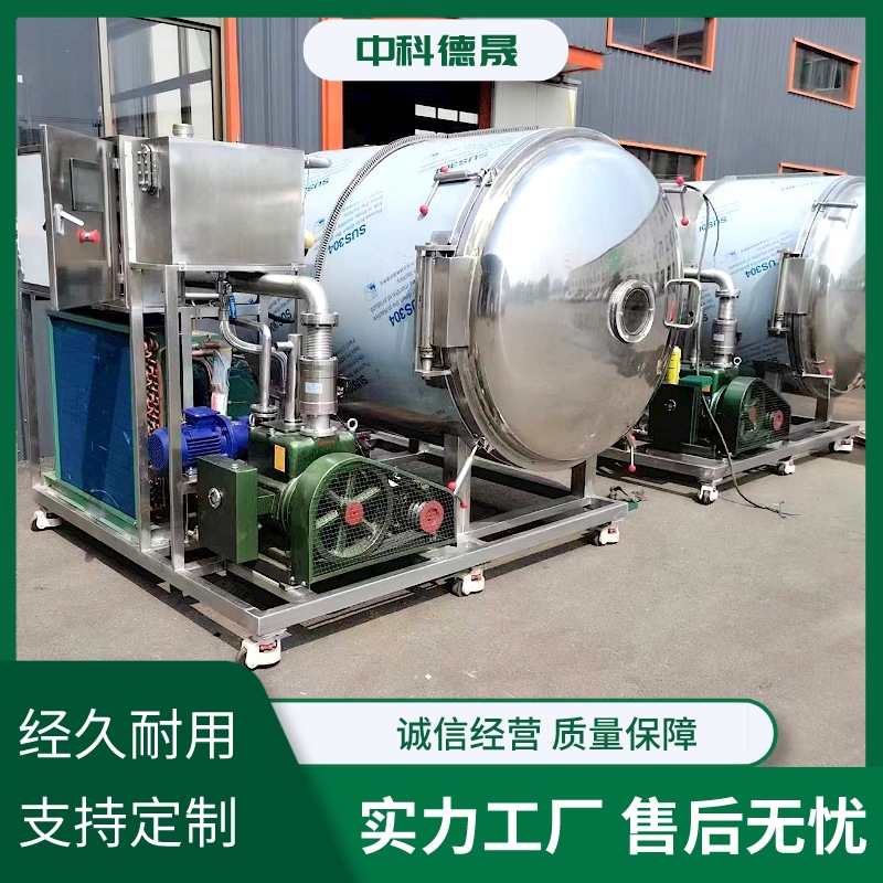 苹果芒果桑葚真空冷冻干燥机全自动水果冻干机果蔬脆加工机器