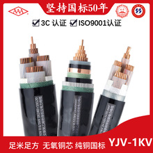 �S�ҹ��� �����|YJV-1kV ��NҎ����x �����~о��|��|��