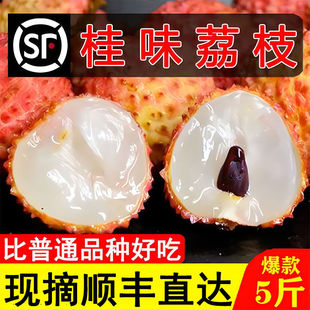 顺丰一件代发广东茂名高州荔枝新鲜桂味现摘水果妃子笑糯米糍批发-阿里巴巴