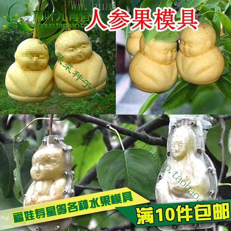 人参果模具寿星喜娃心形水果葫芦定型模具黄瓜苹果梨西瓜甜瓜方形