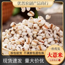 ޲����޲���� ��؛�F�ݴ�޲���׼t���ඹ����s�Z�ּZ��500g���l