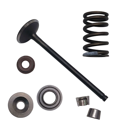 Motorcycle engine and accessories the Chunfeng 500