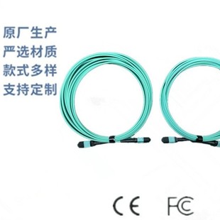 Mpo Mtp Fiber Optic Jumper 8-Core 12-Core 24-Core Multi-Mode Om3 Om4 Om5 Low-Loss Data Center Jumper