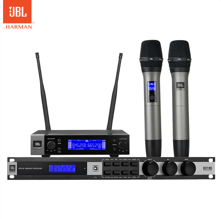 Vm200/Vm300 Professional Performance-Grade Wireless Microphone One-To-Two Home Ktv Wireless Microphone Anti-Howling