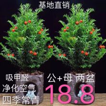 ��Ʒ���ͼt��ɼ�����Ϸ������҃���Gֲ