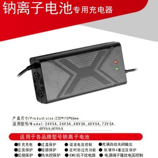 Special Charger for Sodium-Ion Batteries, Portable Energy-Saving Electric Vehicle Battery, Sodium-Ion Battery Car