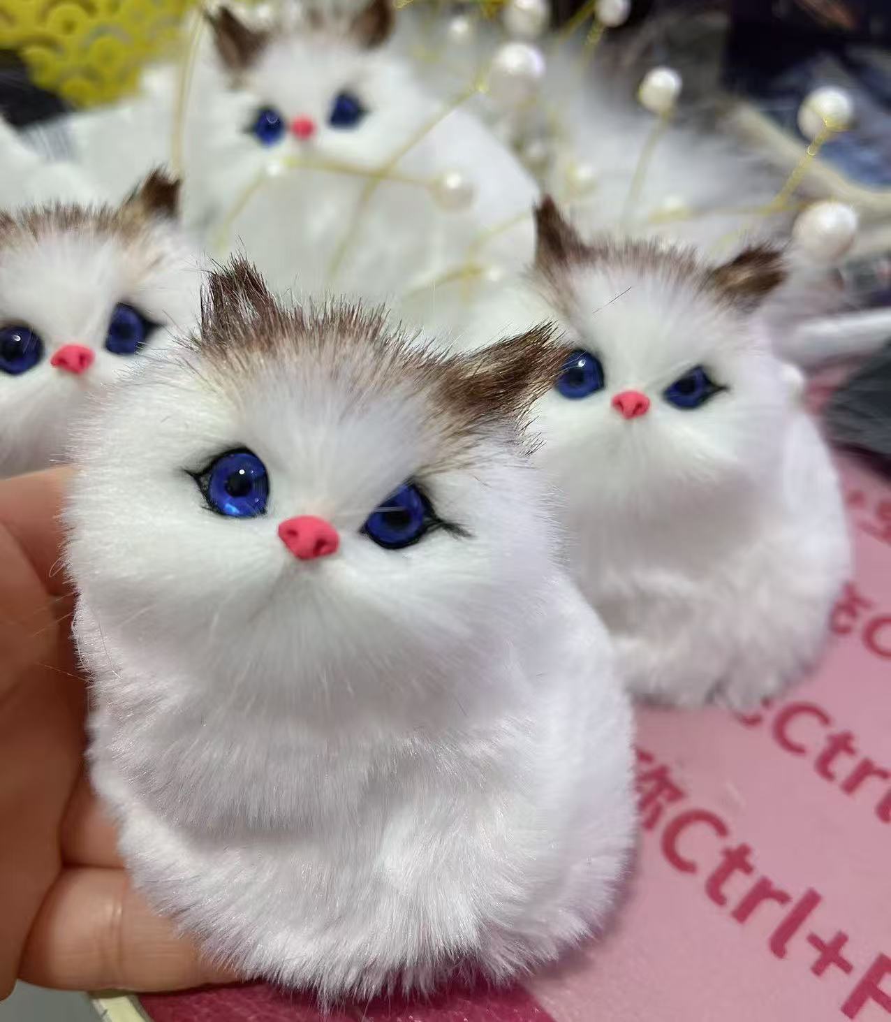 잔디색 고양이(야옹)