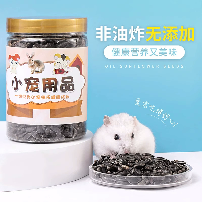 Корм для закуски для хомяков Черные семена дыни Молярная зубная закуска Золотой медведь Еда Специальное питание Штапель Хлеб Червь Семена дыни