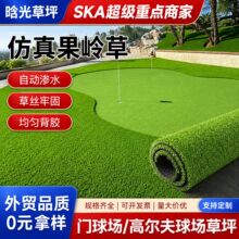 仿真果岭草 高尔夫门球场人造草坪曲丝人工塑料户外仿真草皮地毯