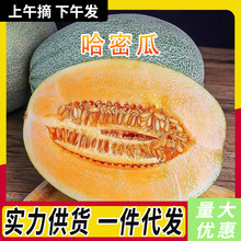 ���x���ܹ� ���l3-9�����r��Ϯ���ˮ�������֭��õ����������]