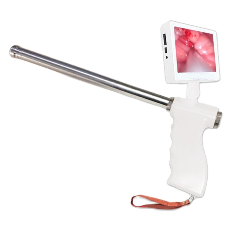 Ganado pistola de transfusión de esencia visual [grande] cría mejora de cría y esencia transfusión ganado granja ganado caballo burro esencia congelada visual