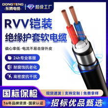 RVV䓎��z�bܛ��|�����m��RVV22 2*1.0ͨ���O���Դ늾��o�׾�