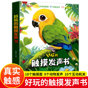 ������|���l�� ���fԒ��������� ���b�c�x�Z������