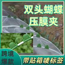 С������Һ����������ֲ�����ټ������ů�������Ĥ�Aů�����