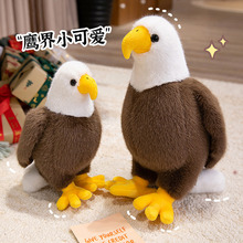 仿真动物白头海雕公仔毛绒玩具白头翁老鹰秃鹰小鸟玩偶摆件布娃娃