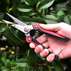 Stainless steel pruning shears, flower potted garden tools, branch grafting scissors, fruit picking spring fruit tree shears