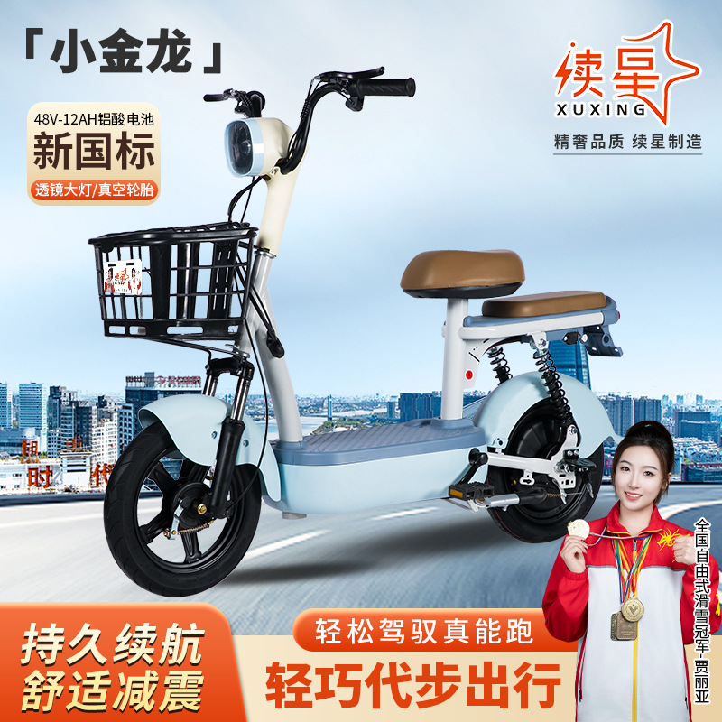 Cross-border direct supply continuing star small golden dragon new national standard electric bicycle city commute two-person commuting assist e-bike