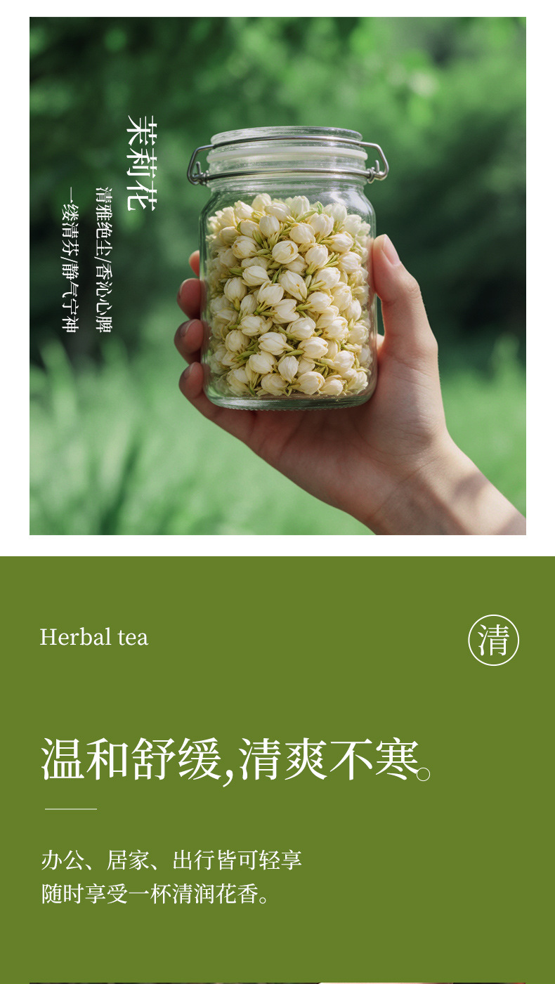 Three Flower Tea San Hua Cha Honeysuckle Jasmine Chrysanthemum Blend 10g Mini Jar Hot Brew Herbal Tea quality and texture