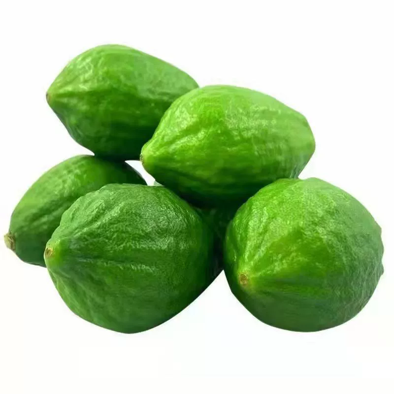 Лимоны из Гуандуна, без косточек, зеленые, тропические, свежие, высший сорт, лимоны с острова Хайнань оптом для кафе и магазинов молочного чая