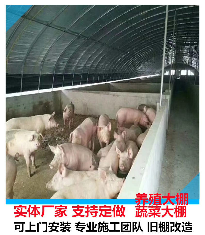 抗风强的养殖大棚 养牛大棚 北方养羊大棚 四层保温更保暖