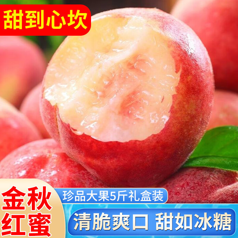 望果仙江苏金秋红蜜水蜜桃鲜果送礼12枚重5斤单果200g+源头直发包