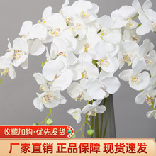 �����m���滨���߼��мٻ���c�û���Y���b�b����컨�����m����